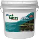 All-Season Pond Bacteria